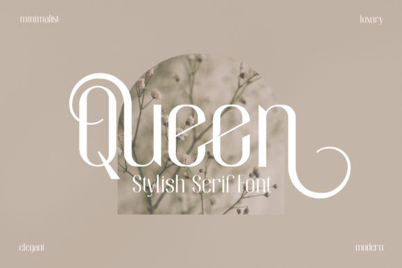 Queen: A Timeless Typeface for Modern Design